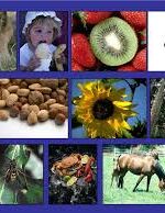 120 imágenes en Asma y alergia, con CD