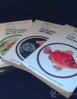 Manuales de divulgación Cultural