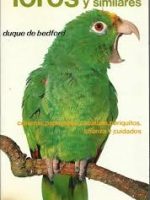 Loros y similares