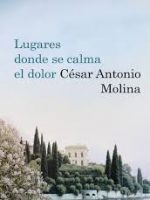 Lugares donde se calma el dolor