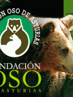 Osos Fundación Asturias