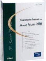 Microsoft Office Windows 95 y Access 2000
